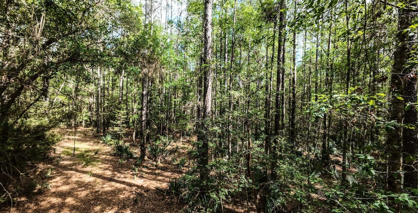 766 DJI 20250516231213 0069 D