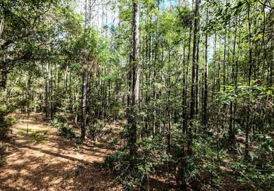 766 DJI 20250516231213 0069 D