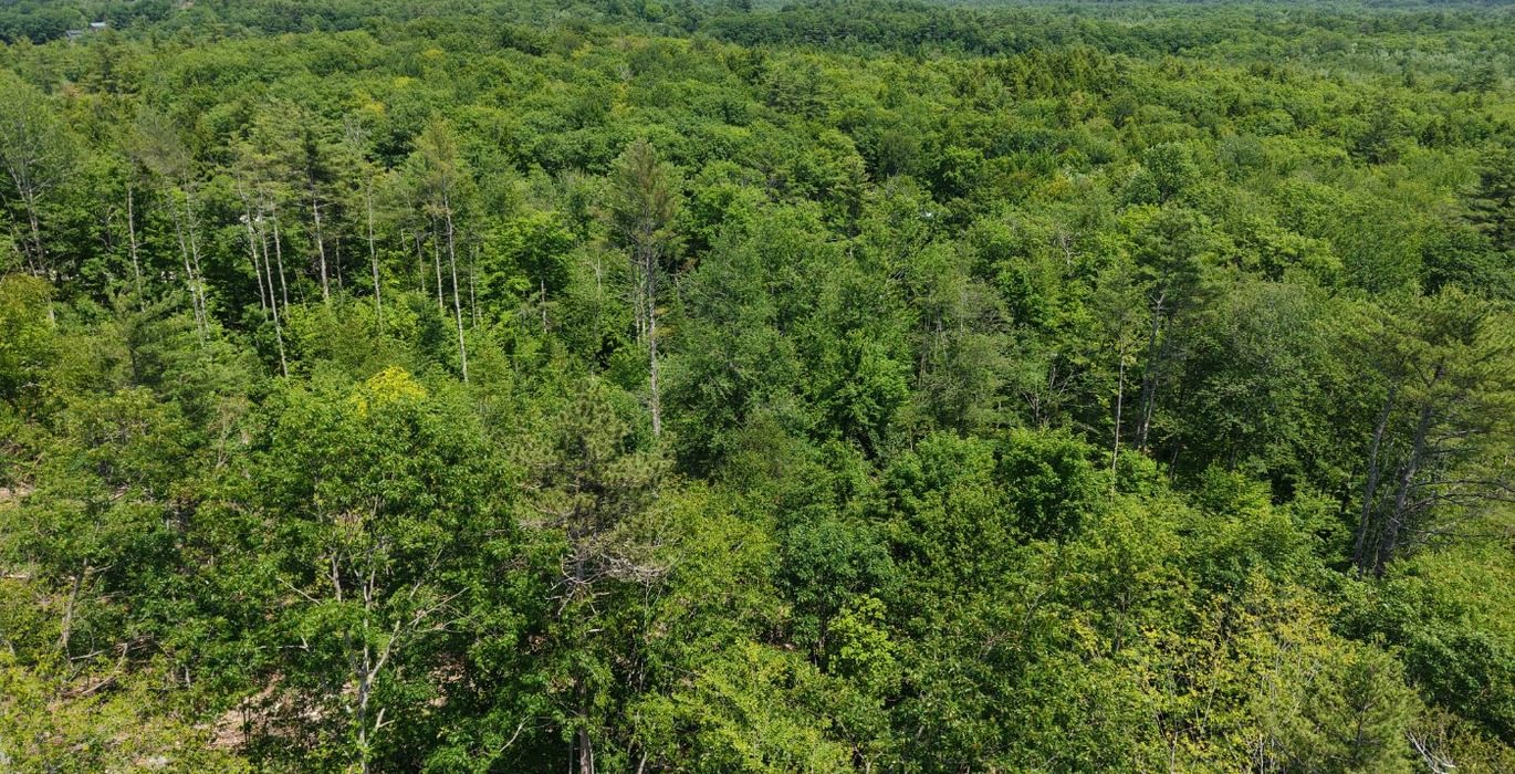 766 trees