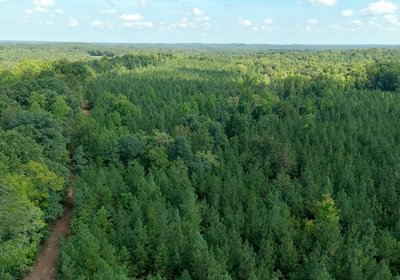 767 Simlin Creek Photo 16