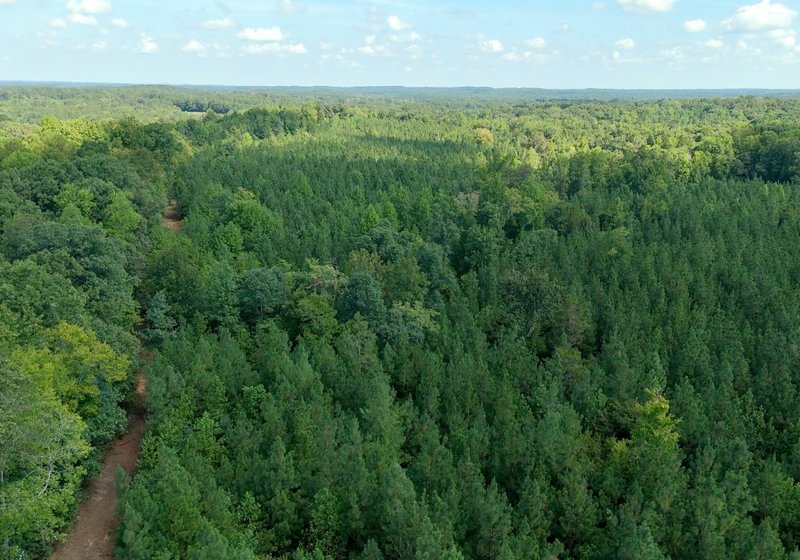 767 Simlin Creek Photo 16