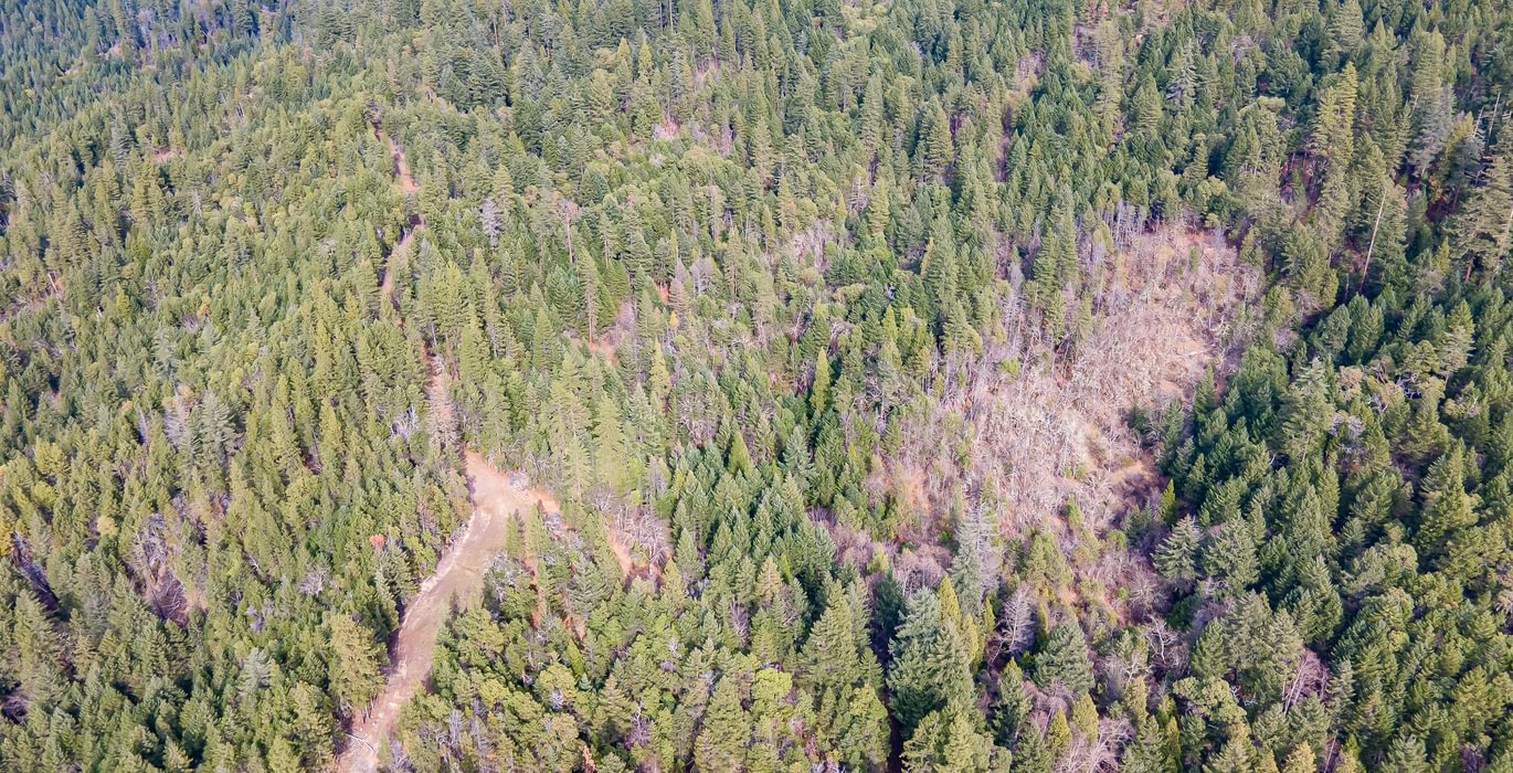 768 DJI 0821 HDR Image Merge