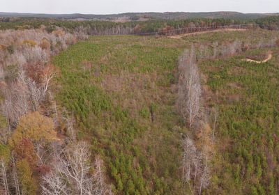 769 AFM Crump Farm Photo 21