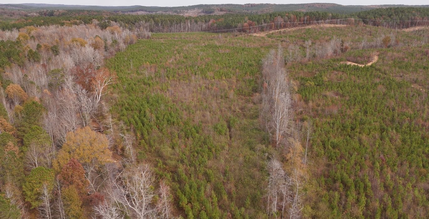 769 AFM Crump Farm Photo 21