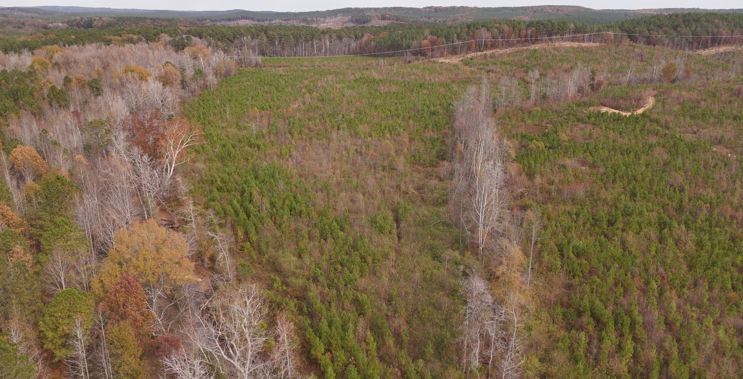 769 AFM Crump Farm Photo 21