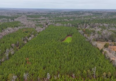 769 AFM Hightower Road 14