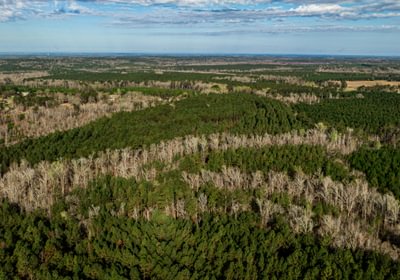 769 AFM Island Creek Farms 15