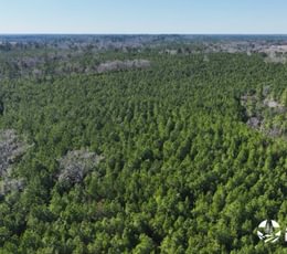 769 DJI 20250131145235 0018 V