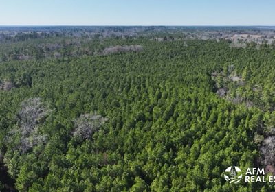 769 DJI 20250131145235 0018 V