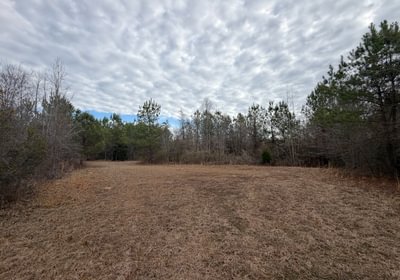 76 IMG 1133