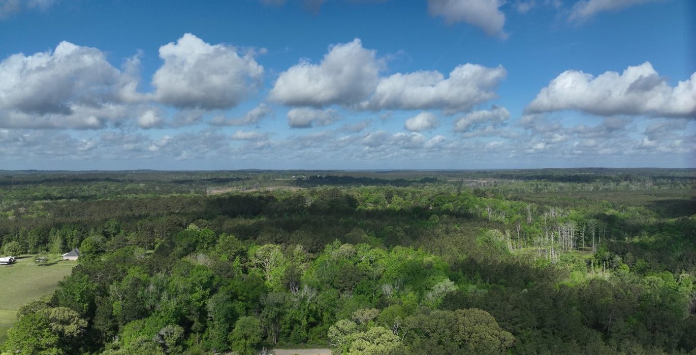 771 DJI 20260414224805 0035 D