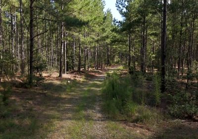 773 Cabin Creek Photo 40