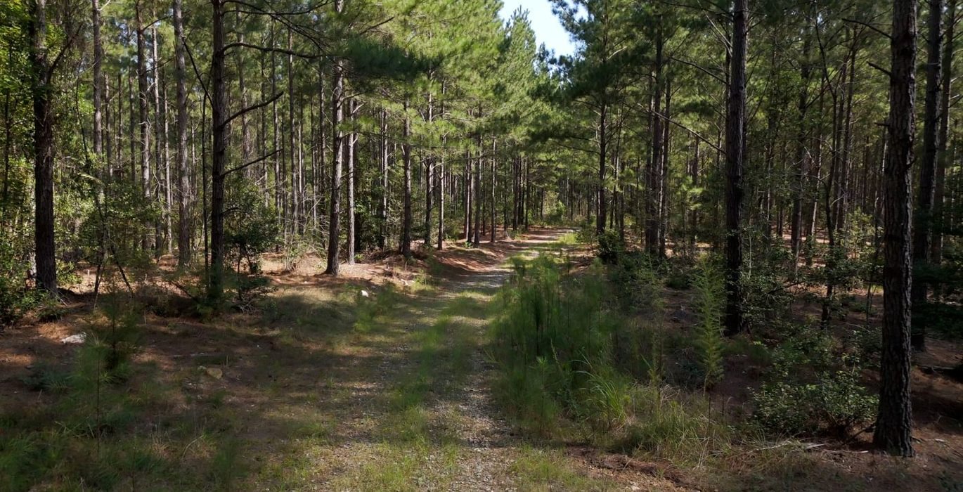 773 Cabin Creek Photo 40