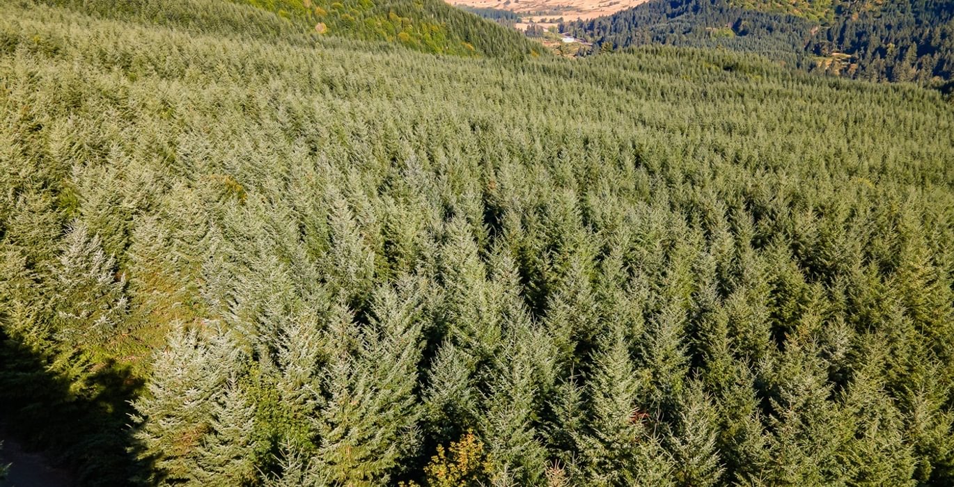 774 DJI 0867 HDR25