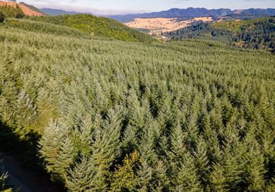 774 DJI 0867 HDR25