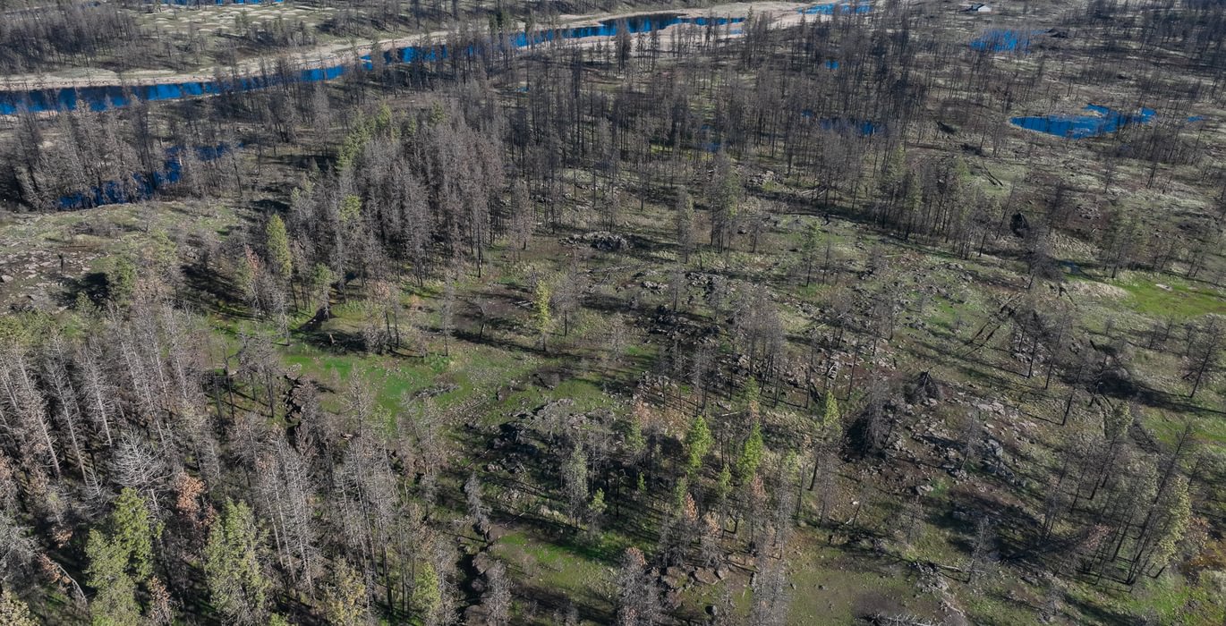 774 DJI 20250415085614 0029 V