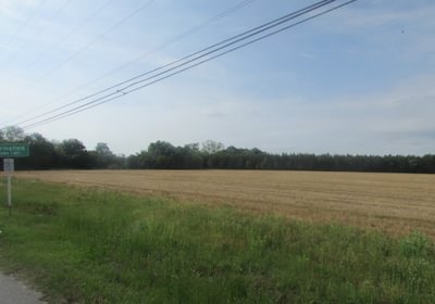 774 IMG 0724