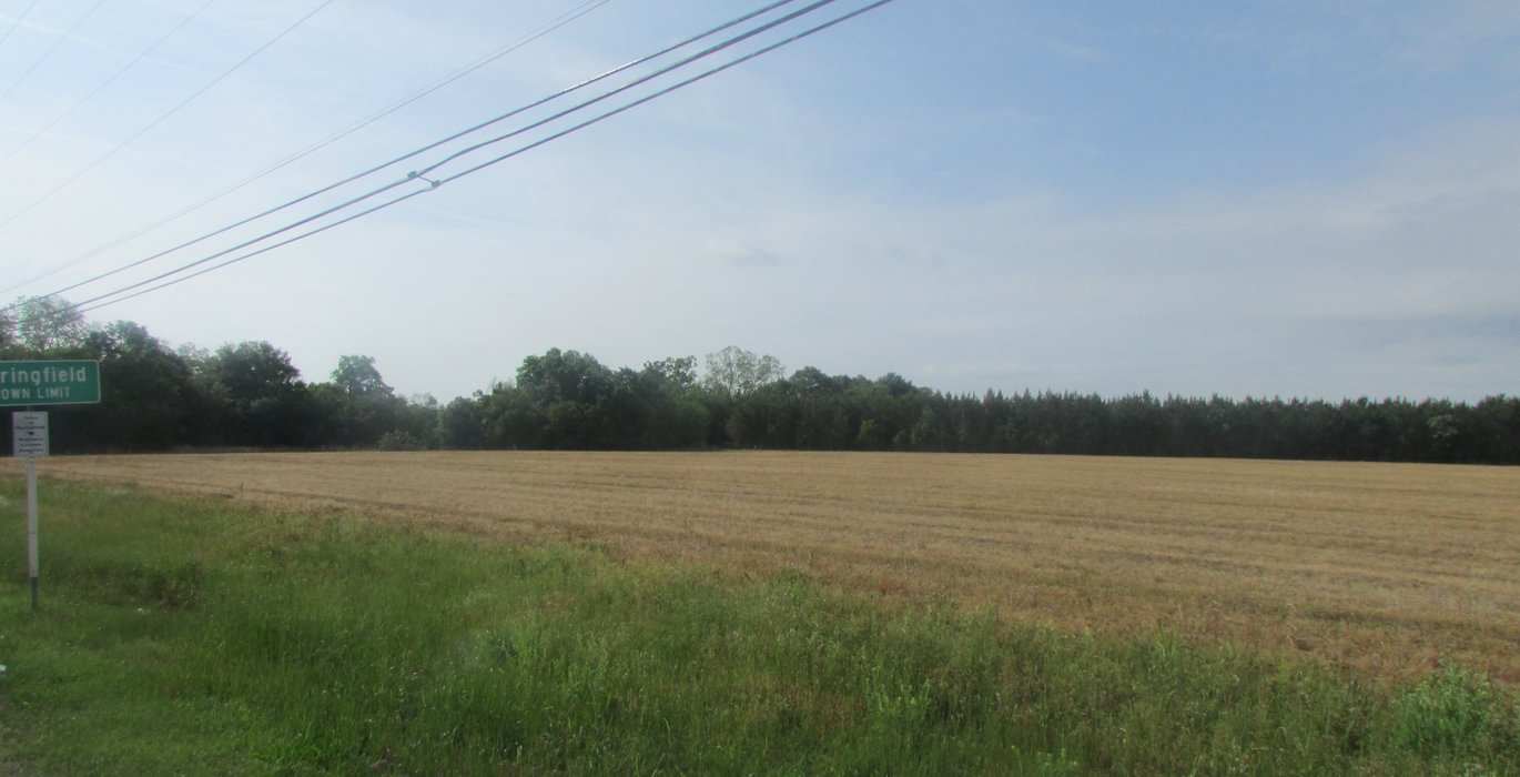 774 IMG 0724