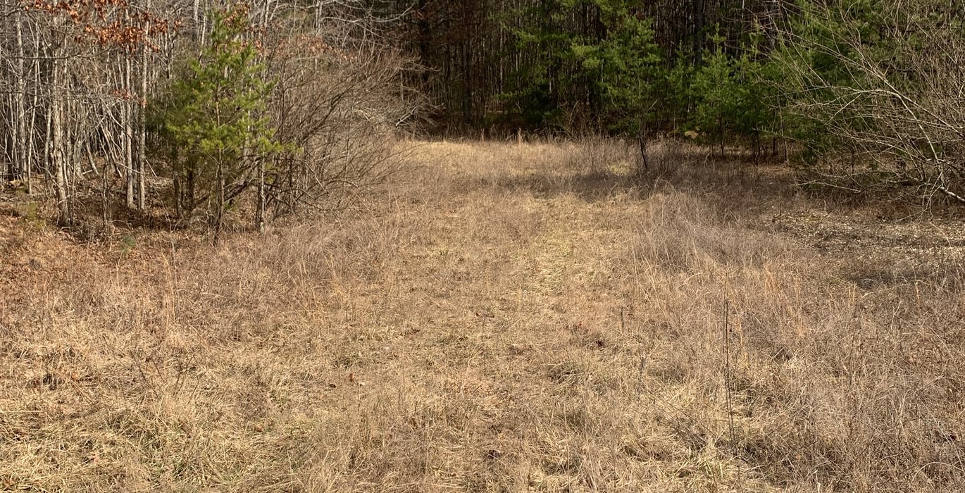 774 IMG 2032