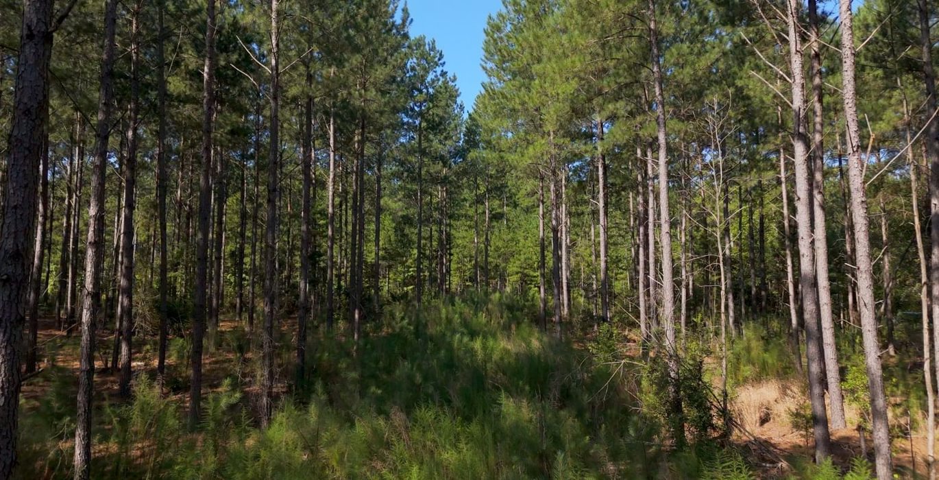 775 Cabin Creek Photo 10