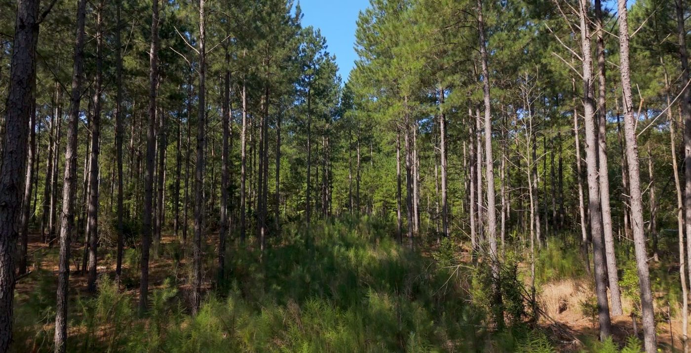 775 Cabin Creek Photo 10