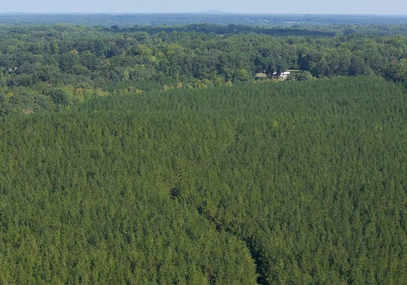 775 Cabin Creek Photo 27