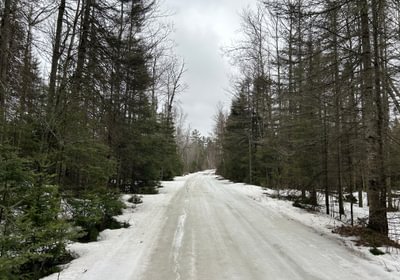 775 IMG 1590 1