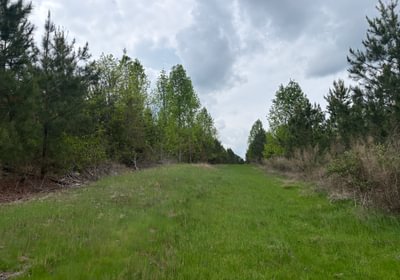 775 IMG 4911