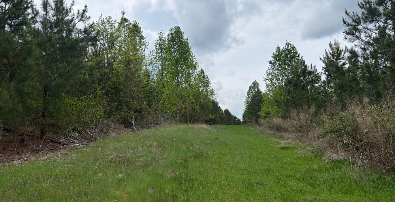 775 IMG 4911