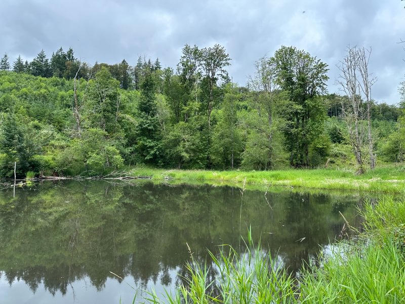 Photo 3 of Barker 66, 65.71 acres, Columbia County, Oregon