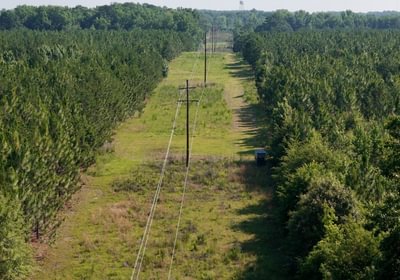 777 Longleaf Mecca Photo 15