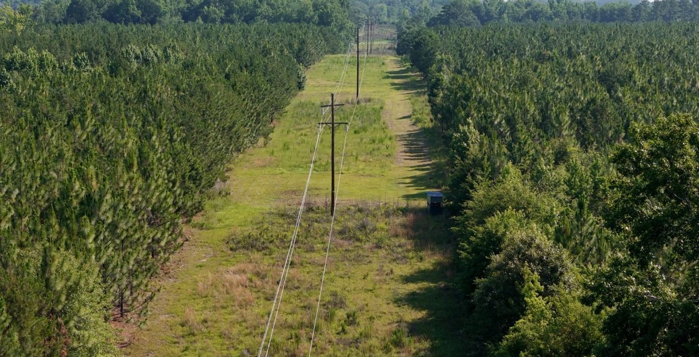 777 Longleaf Mecca Photo 15