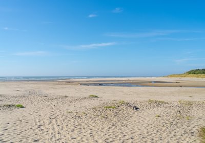 779 Beach 4