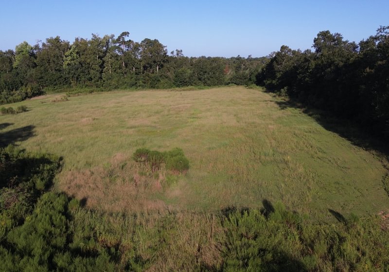 Photo 2 of Cooperville Farmstead, 24.46 acres, Screven County, Georgia