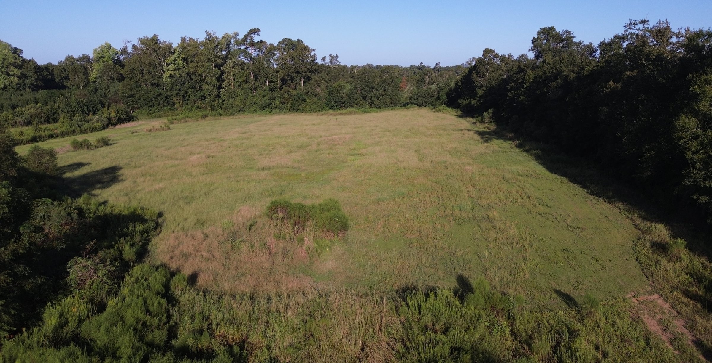 Photo 2 of Cooperville Farmstead, 24.46 acres, Screven County, Georgia