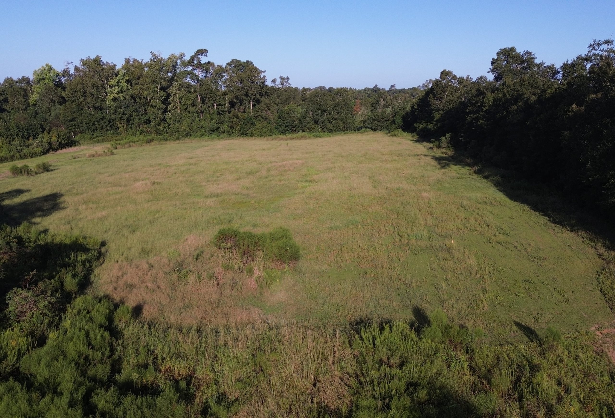 Photo 2 of Cooperville Farmstead, 24.46 acres, Screven County, Georgia