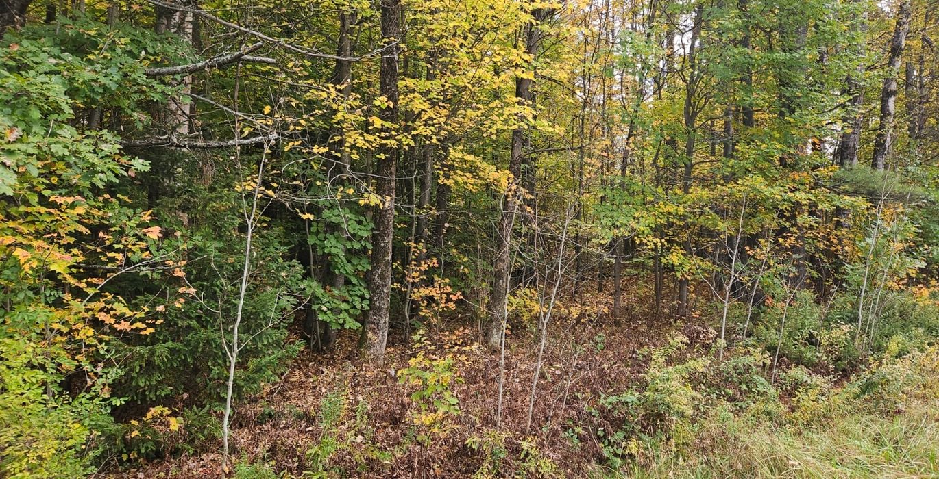 780 4 Lot