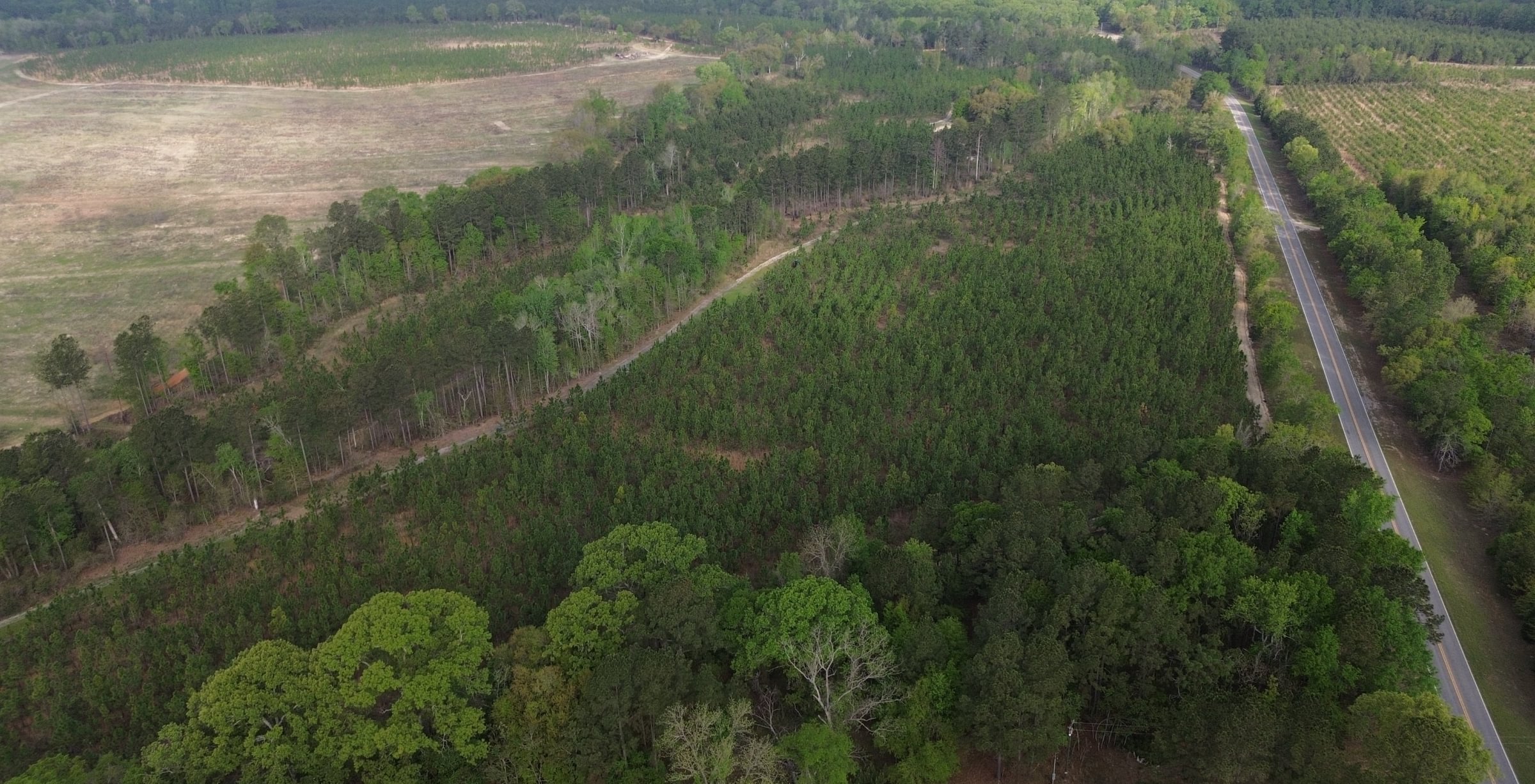 Photo 3 of Old Poor Robin Sportsman Tract 2, 24.6 acres, Screven County, Georgia