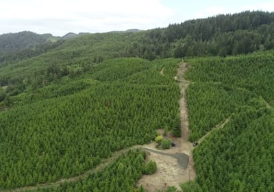 781 DJI 0132