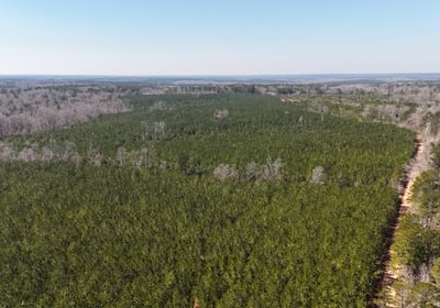 781 DJI 20250224124047 0020 D