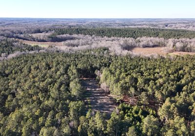 781 DJI 20260115155759 0101 D