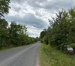 781 IMG 1383