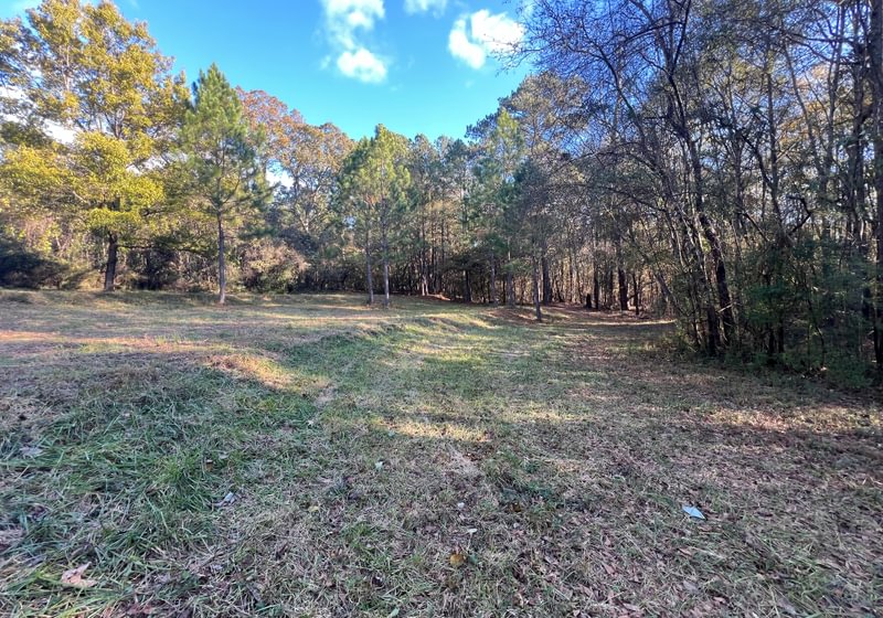 Photo 2 of Paradise Farms, 46.84 acres, Henry County, Georgia
