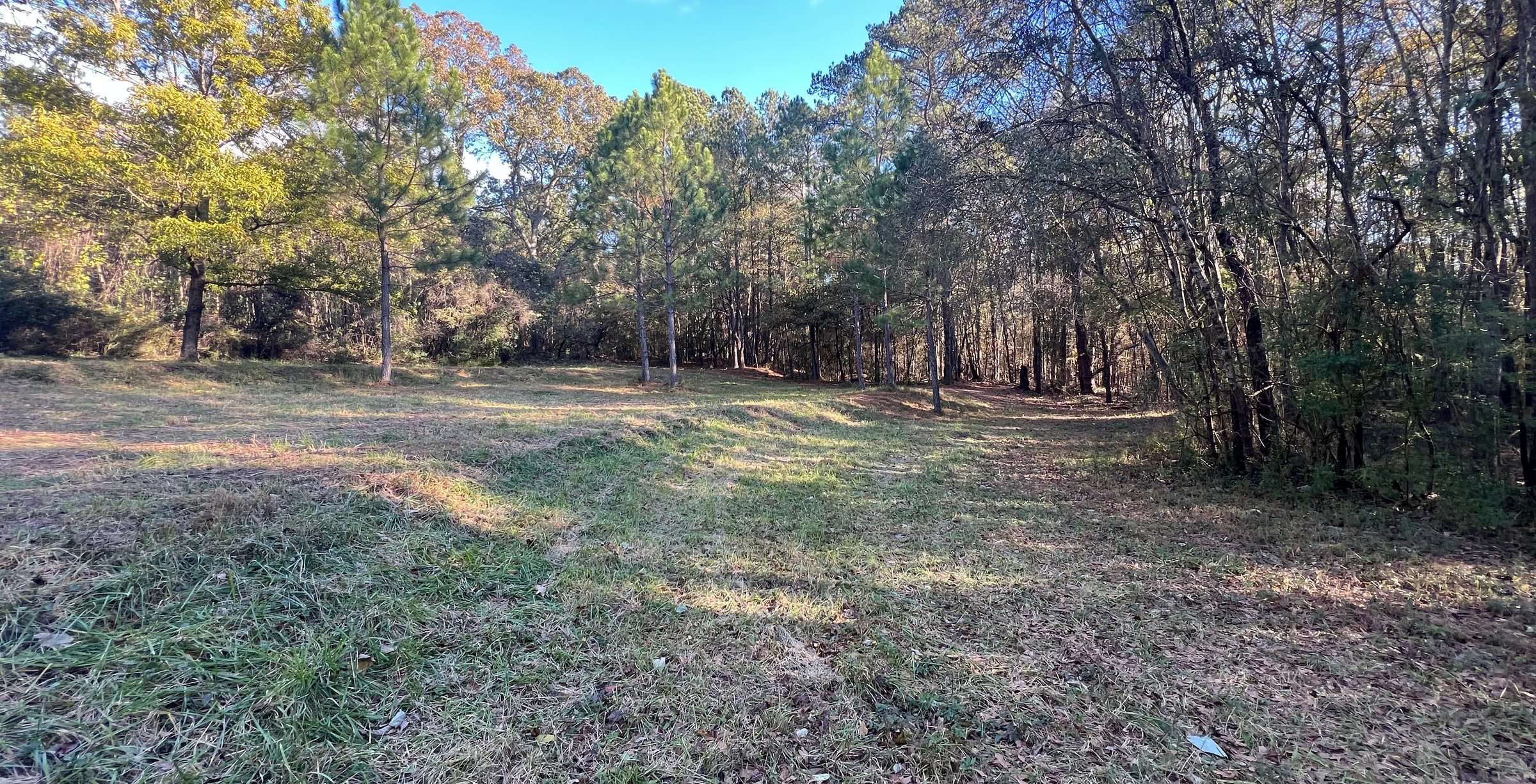 Photo 2 of Paradise Farms, 46.84 acres, Henry County, Georgia