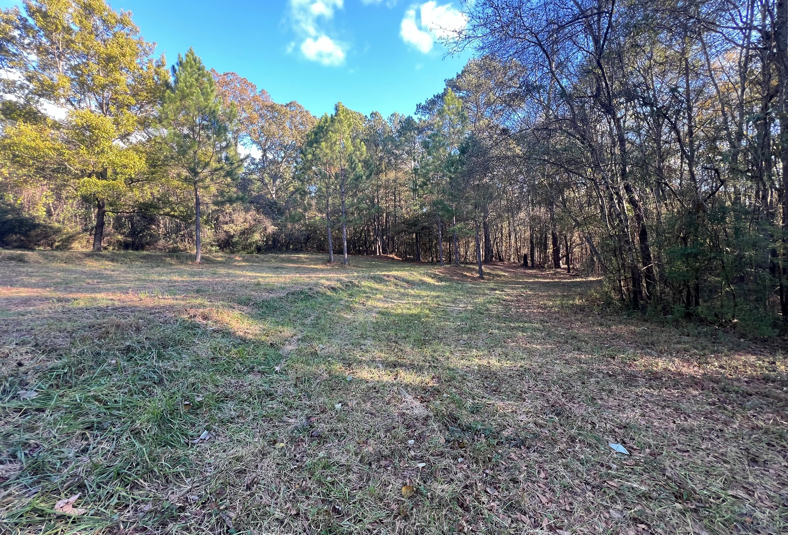 Photo 2 of Paradise Farms, 46.84 acres, Henry County, Georgia