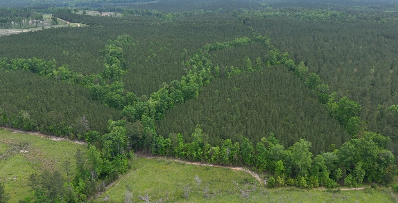 782 Mc Call Capelsie 9 Copy