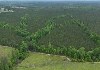 782 Mc Call Capelsie 9 Copy