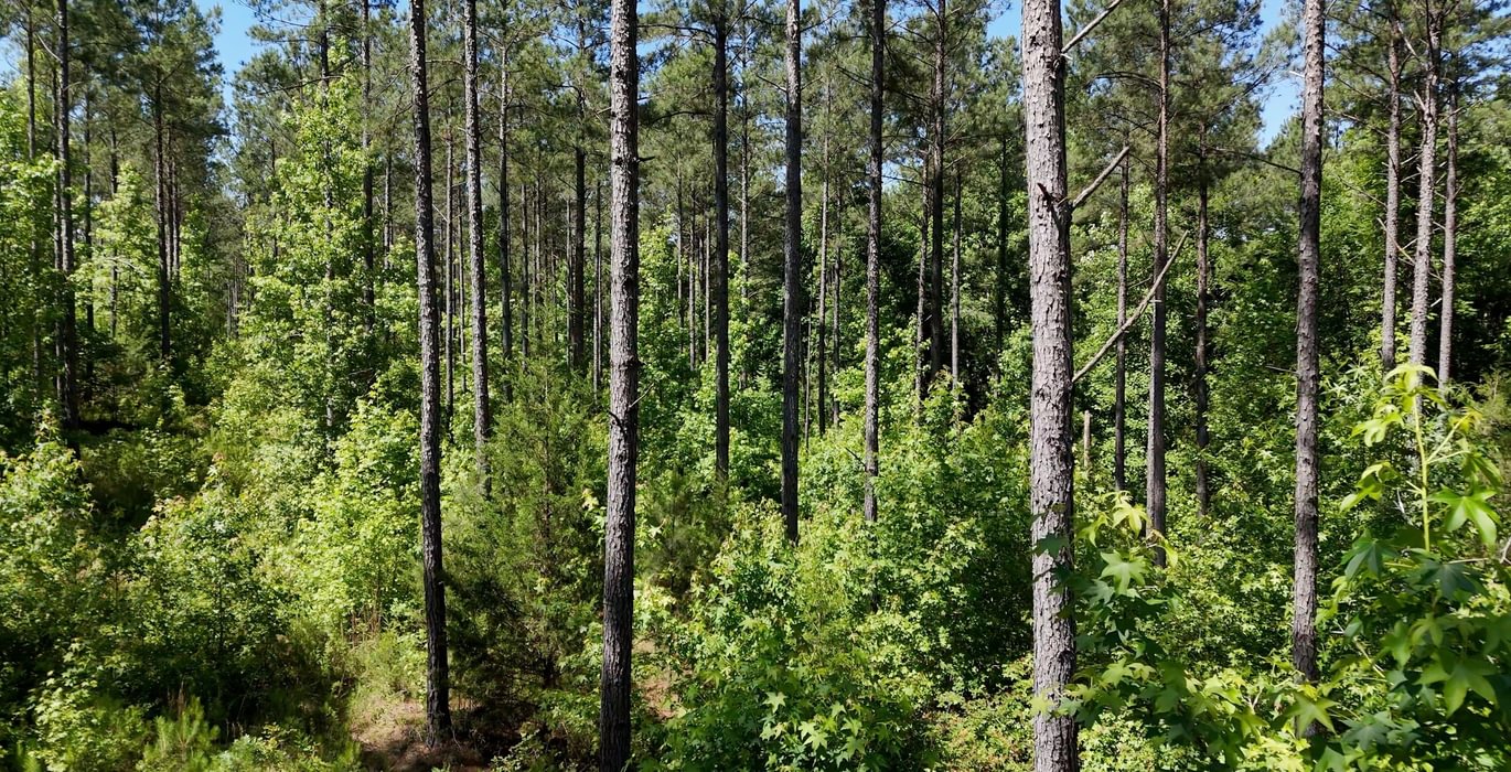 783 Horton Tract Photo 31