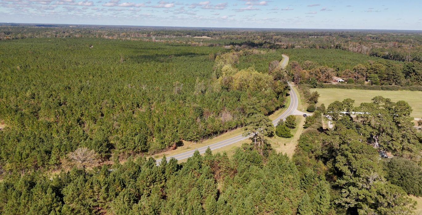 784 AFM Bladen 339 Photo 3