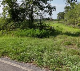 784 AFM Glenmore Road Photo 28